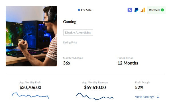 🎮 Profitable Display Advertising Business in the Gaming Niche